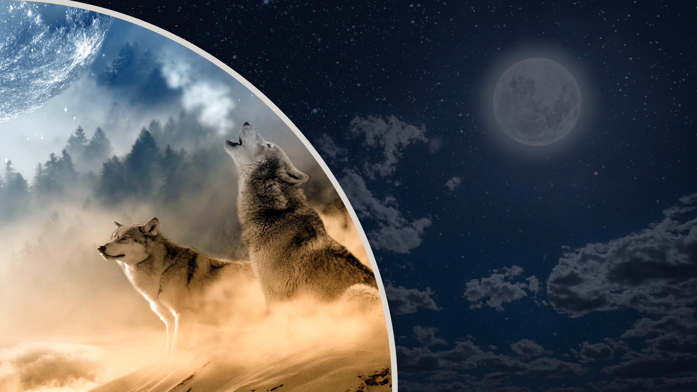 Embrace the Mystical Energy of the Wolf Moon