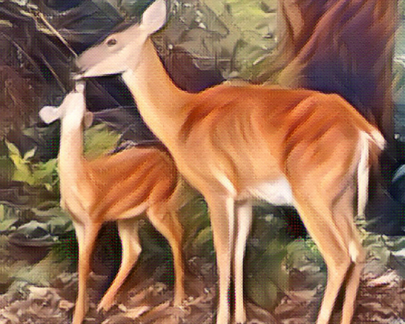 Kissing Deer Art Print