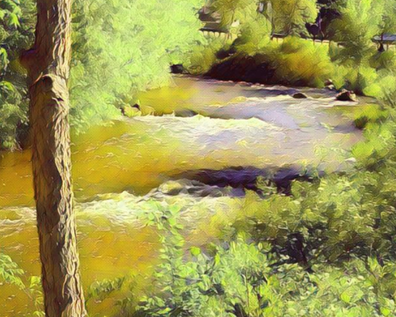 Red Cedar River #1 Art Print