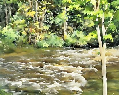 Red Cedar River #4 Art Print