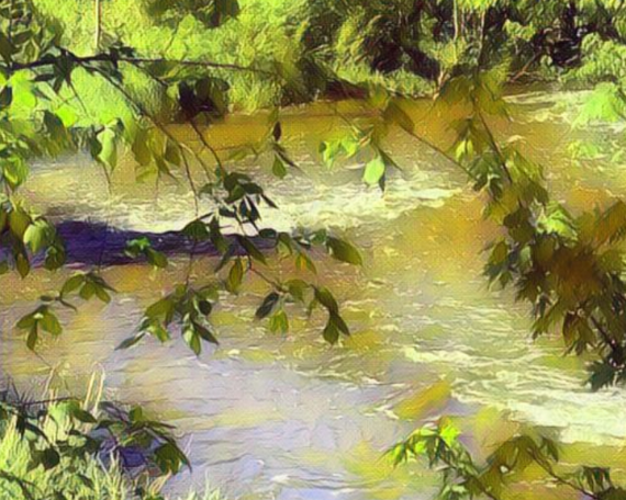 Red Cedar River #3 Art Print