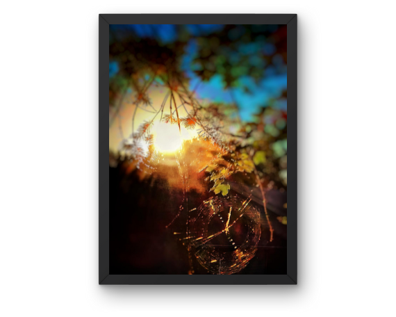 Web of Light Art Print