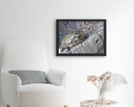 Frog Days of Summer Art Print