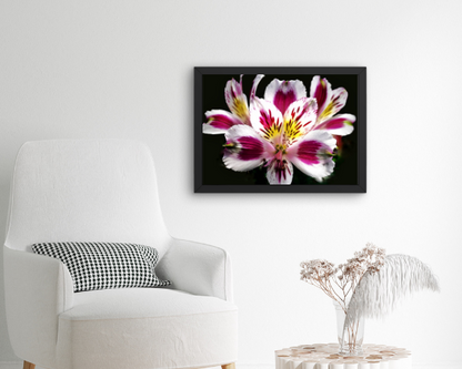 Bouquet Burst Art Print