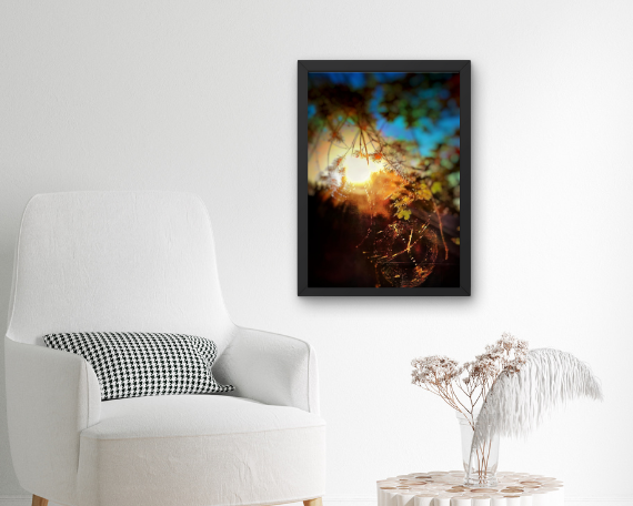 Web of Light Art Print