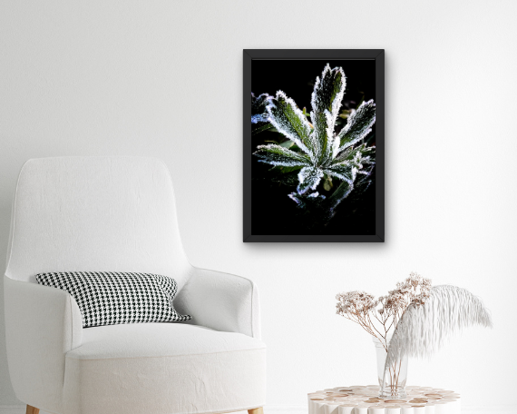 Crystal Art Print