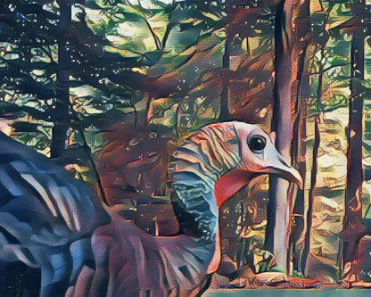 Smirkey Turkey Art Print