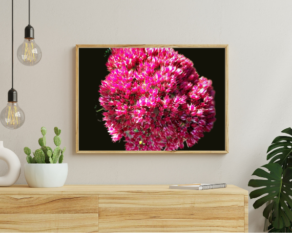 Pink Sugar Art Print