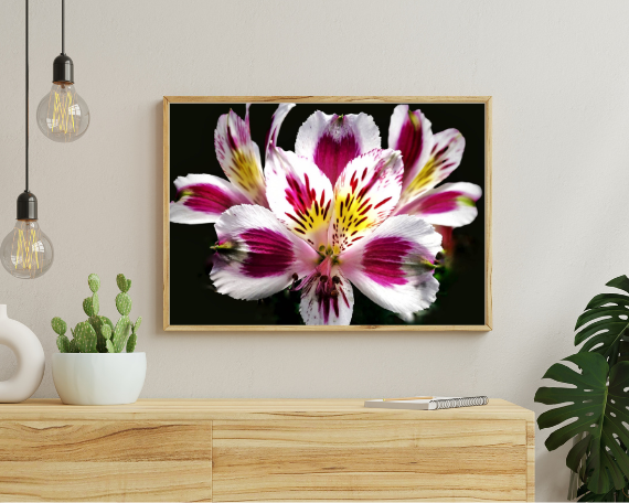 Bouquet Burst Art Print