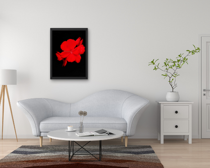 Ruby Fire Art Print