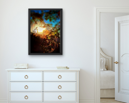 Web of Light Art Print