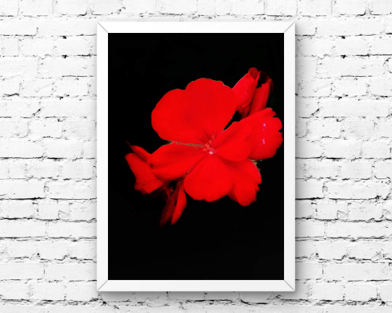 Ruby Fire Art Print