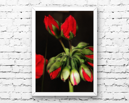 Ruby Flame Art Print