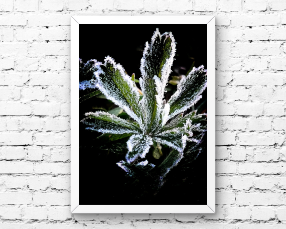 Crystal Art Print