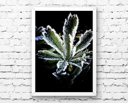 Crystal Art Print