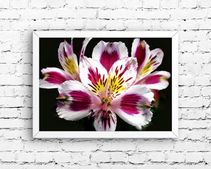 Bouquet Burst Art Print