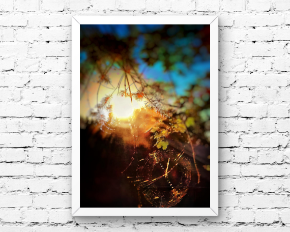 Web of Light Art Print