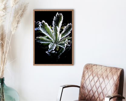 Crystal Art Print