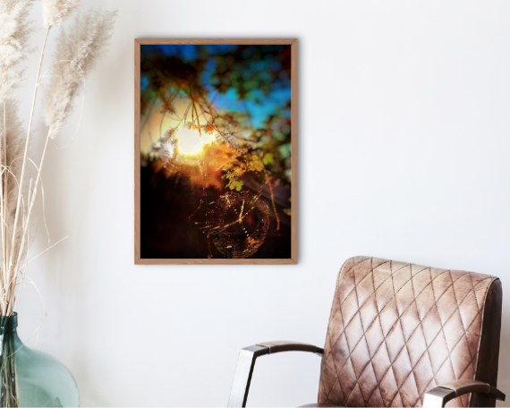 Web of Light Art Print