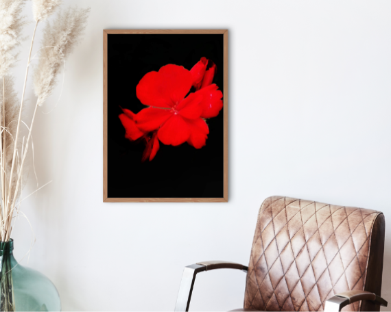 Ruby Fire Art Print