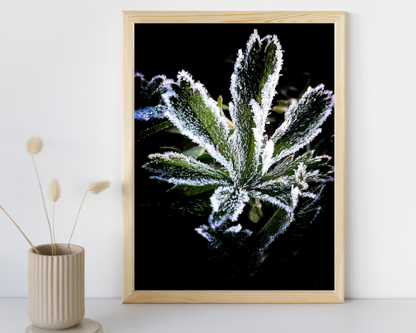 Crystal Art Print