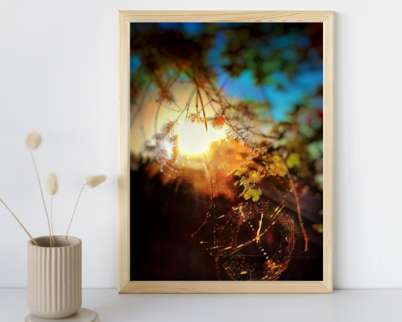 Web of Light Art Print