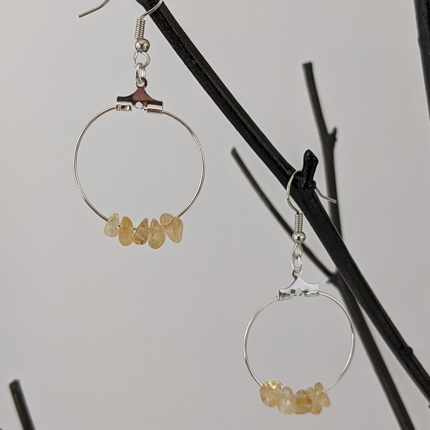 Citrine Double Circle Pendant and Circle Hoop Earrings Set